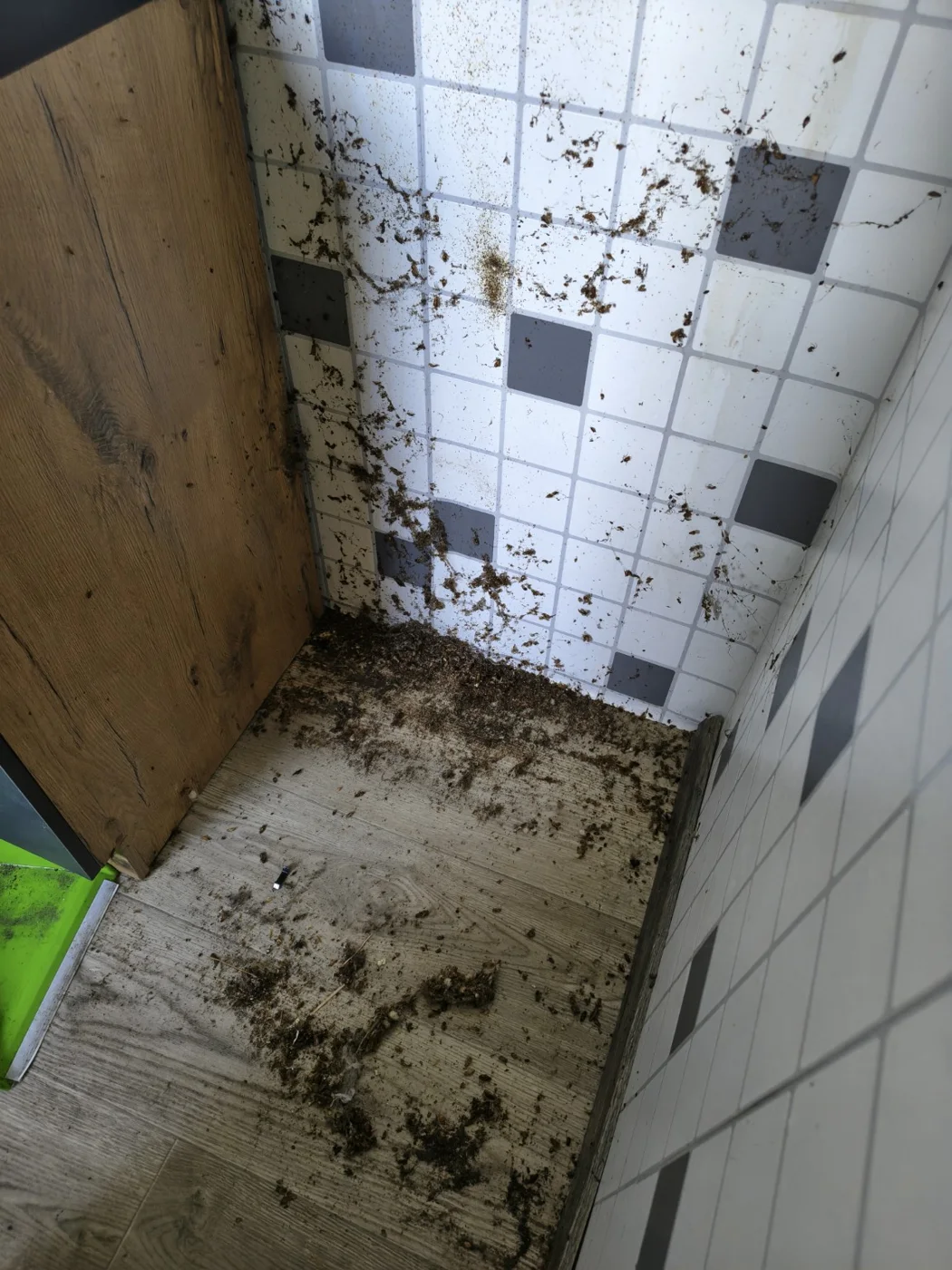 OBE completed cleaning work 7